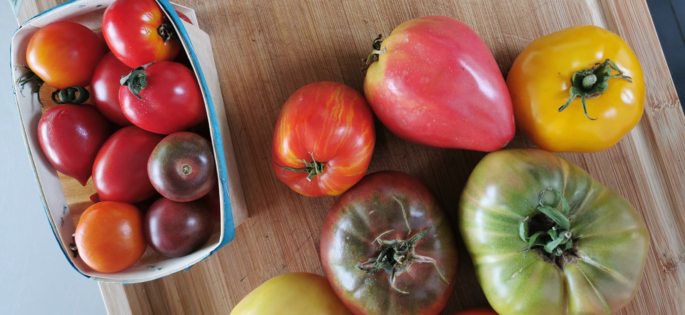 tomates locales Station 810